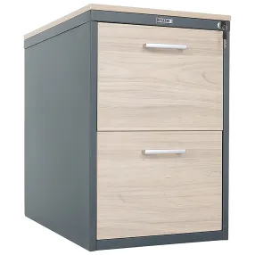 картотечный шкаф практик afc-02lc