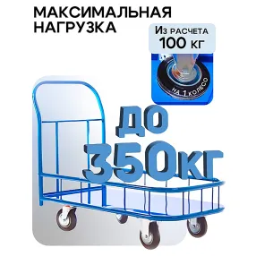 платформенная тележка с бортиком пбм-5.8 500х800 с колесами 125 мм